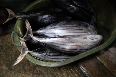 Close-up of fish on table