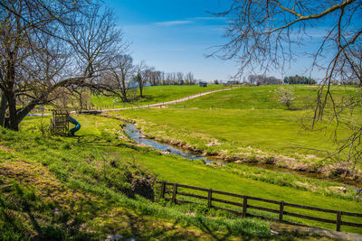 Scenic view of grassy field against sky