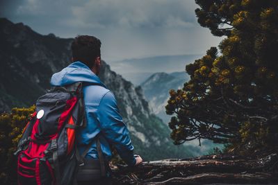 Rear view of man looking at mountain