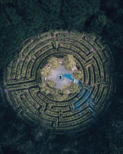 Aerial view of person in maze