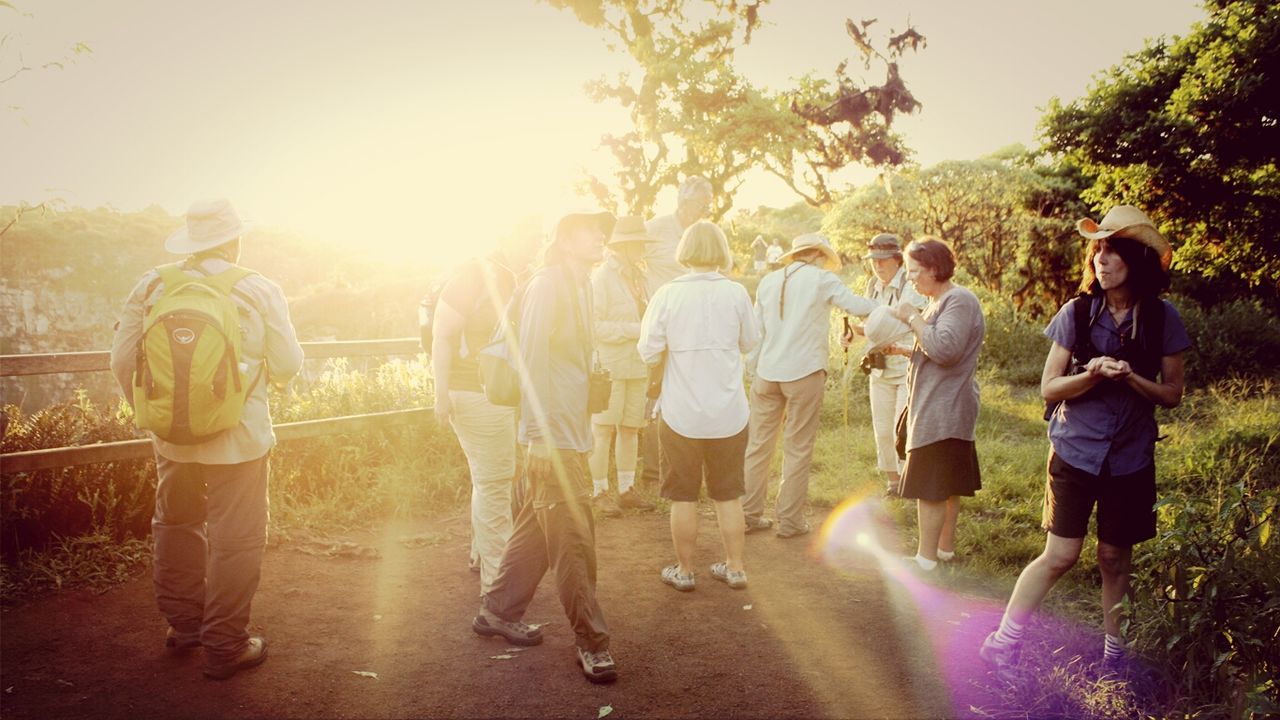 lifestyles, leisure activity, sunlight, tree, sunbeam, clear sky, sun, person, lens flare, men, casual clothing, standing, rear view, togetherness, full length, park - man made space, nature, outdoors