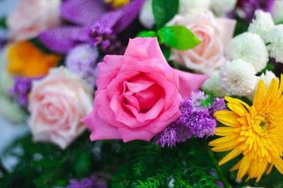 Close-up of pink rose bouquet