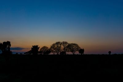 Silhouette trees on field against clear sky at sunset