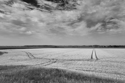 Scenic view of agricultural field against sky