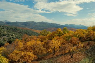 Scenic view of landscape against sky during autumn