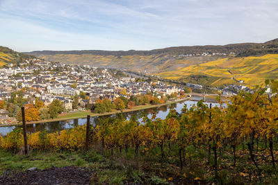 Scenic view at bernkastel-kues and the river moselle valley in autumn with multi colored landscape