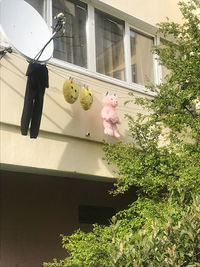 Low angle view of pink flower hanging on building