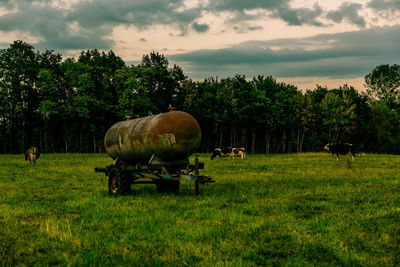 Hay bales on field against sky