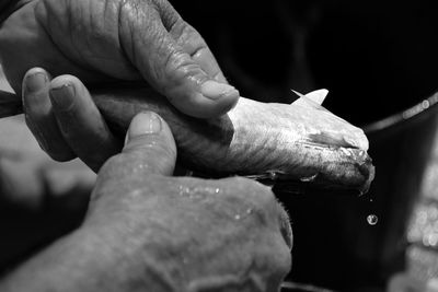 Cropped hands of person cutting fish
