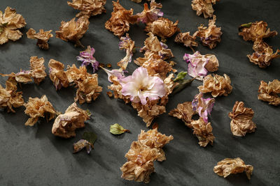 High angle view of flowers on table