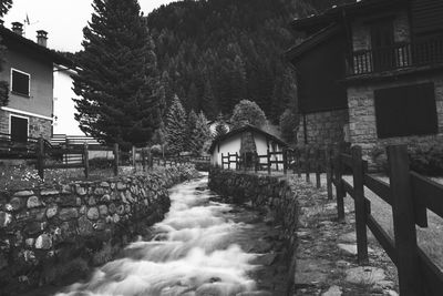 Footpath amidst buildings and trees