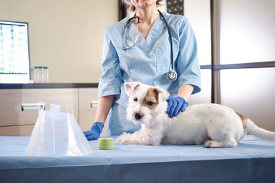 Female doctor with dog at clinic