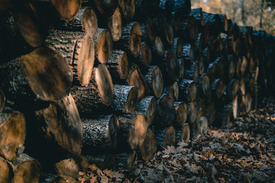 Pile of firewood