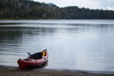 Boat on lake against trees in forest