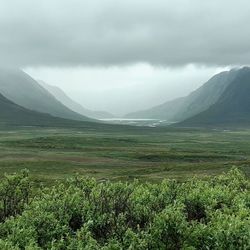 Scenic view of landscape against sky