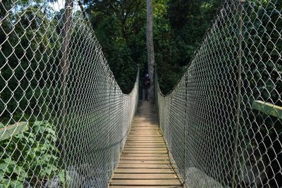 The suspension bridges in the rwenzori mountains, uganda