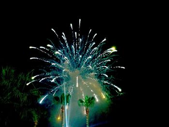 Firework display at night