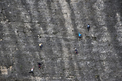 Full frame shot of climbing wall