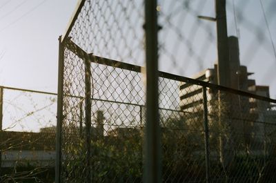 Chainlink fence