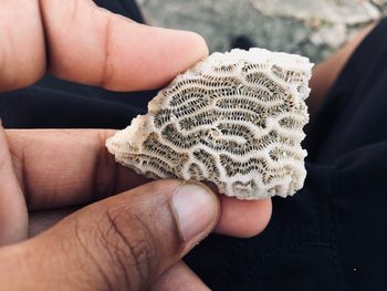 Midsection of person holding coral