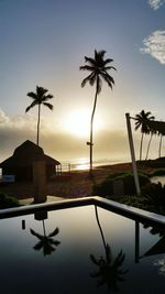 Low angle view of palm trees against sky