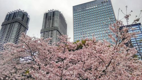 Low angle view of skyscrapers against sky