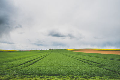 Scenic view of field against cloudy sky