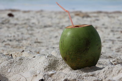 Close-up of coconut with straw on tropical beach