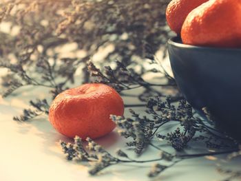 Close-up of orange fruit on table