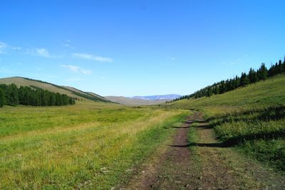 Scenic view of landscape against blue sky