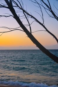 Scenic view of sea against orange sky