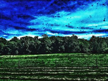 Trees on field against cloudy sky