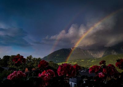 Scenic view of rainbow over mountain against sky