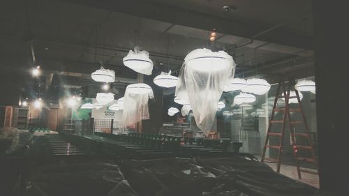 Illuminated light bulbs hanging at night