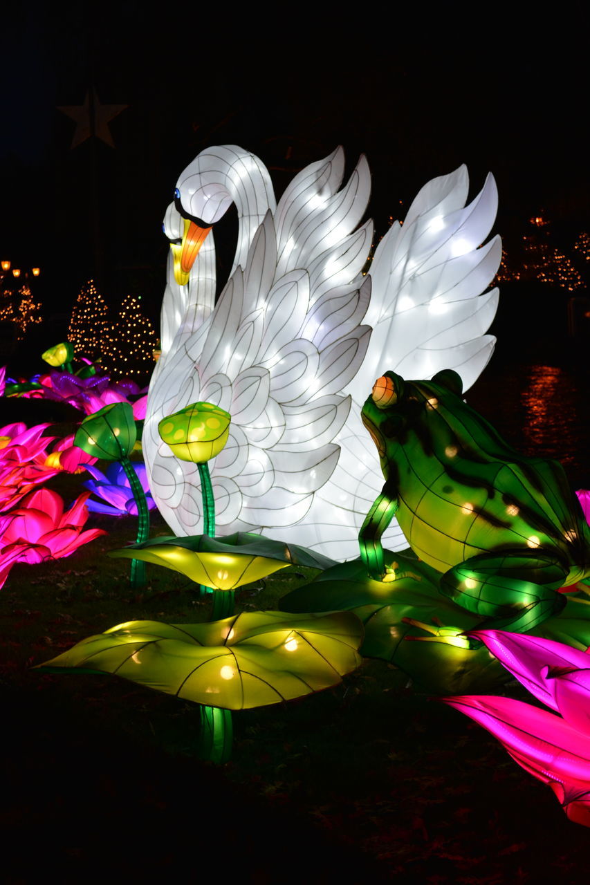 CLOSE-UP OF MULTI COLORED FLOWERS IN ILLUMINATED GREEN LIGHTS