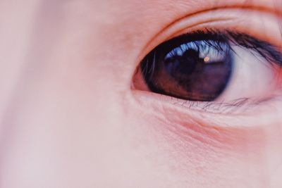 Close-up of human eye