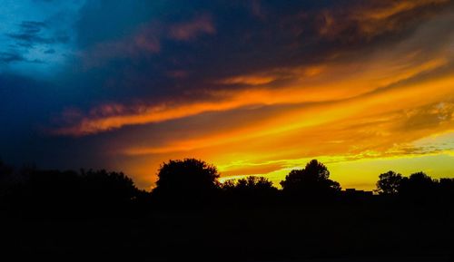 Silhouette of trees at sunset