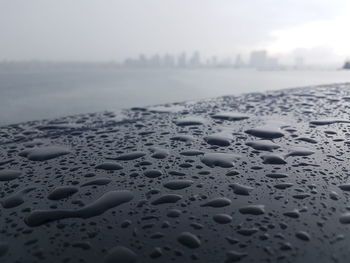 Close-up of raindrops on rainy day