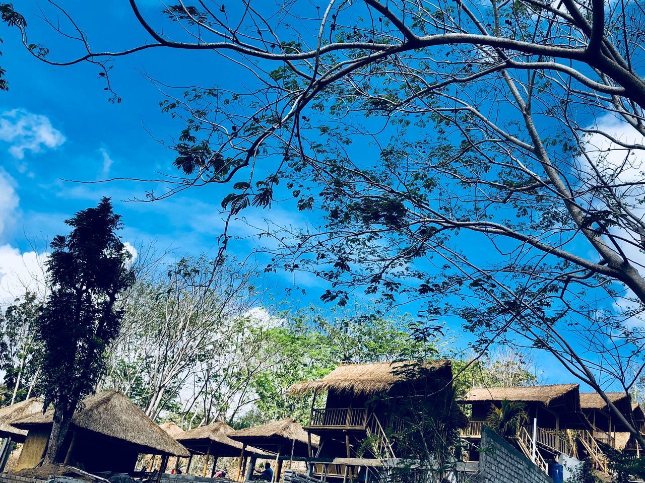 LOW ANGLE VIEW OF BUILDING AND TREES AGAINST SKY