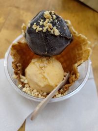 Chocolate and mango ice cream 