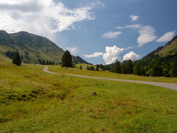 Scenic view of grassy field against sky