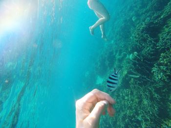 Man swimming in sea