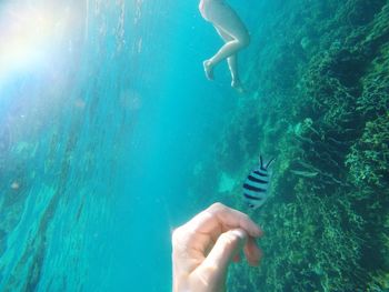 Cropped hand with fish in sea