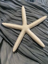 High angle view of bed