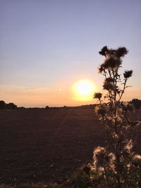 Scenic view of landscape at sunset