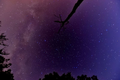 Low angle view of silhouette trees against sky at night