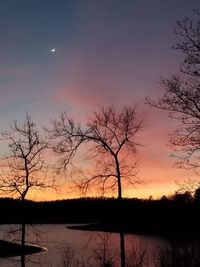 Silhouette bare tree by lake against sky during sunset