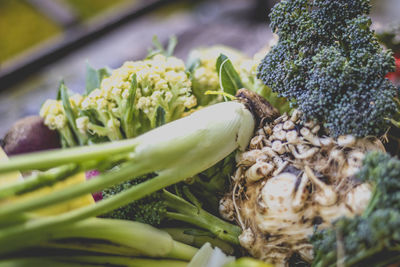 Close-up of vegetables