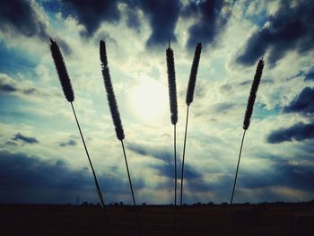 Silhouette of trees against sky