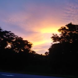 Silhouette trees against sky during sunset